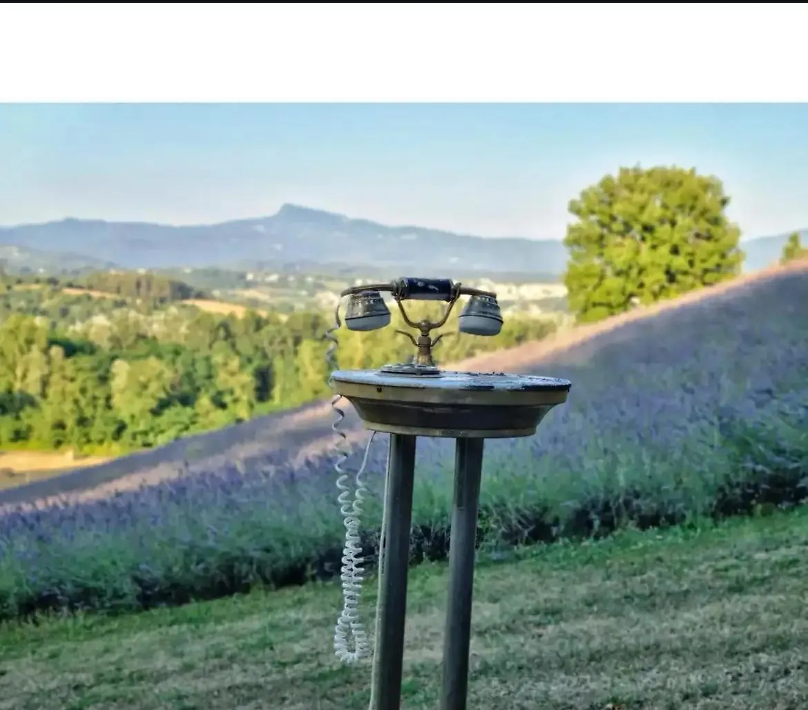 Farm stay La Lavanda Di Poppi Mini Appartamento “Angustifolia “
