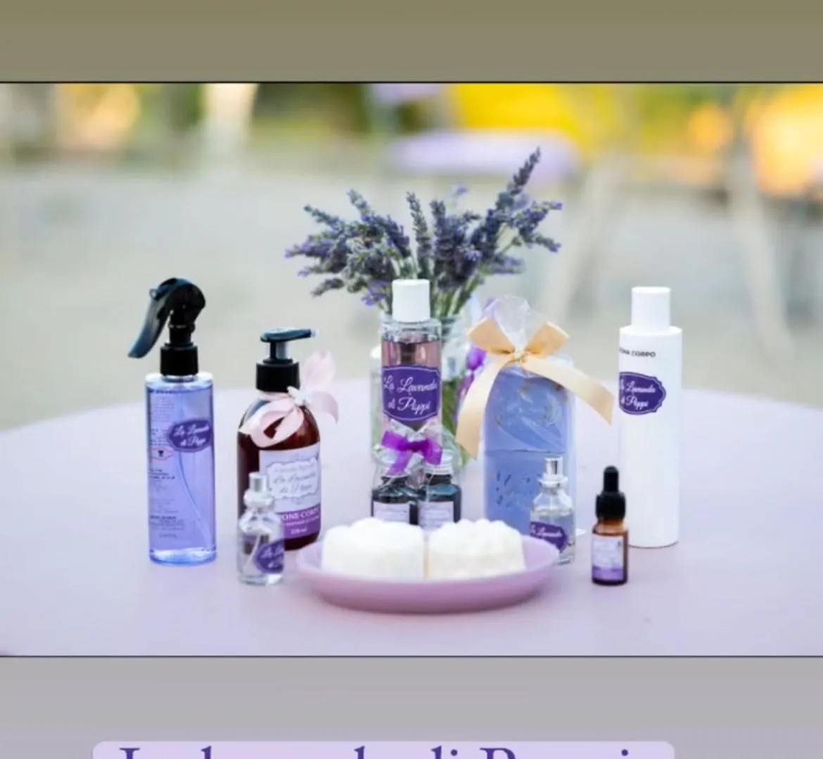La Lavanda Di Poppi Mini Appartamento “Angustifolia “