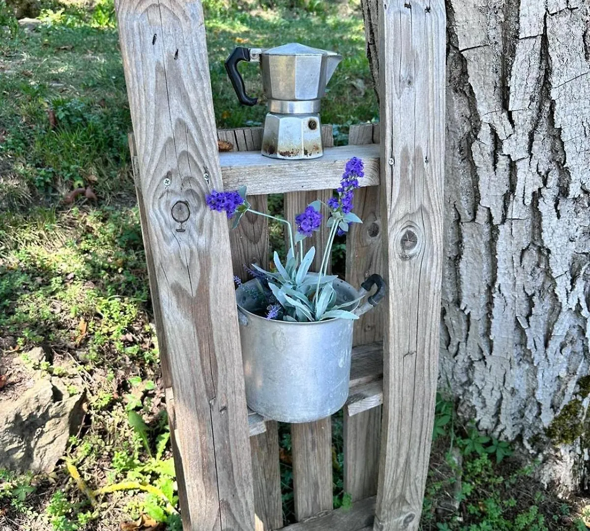 La Lavanda Di Poppi Mini Appartamento “Angustifolia “ Italy