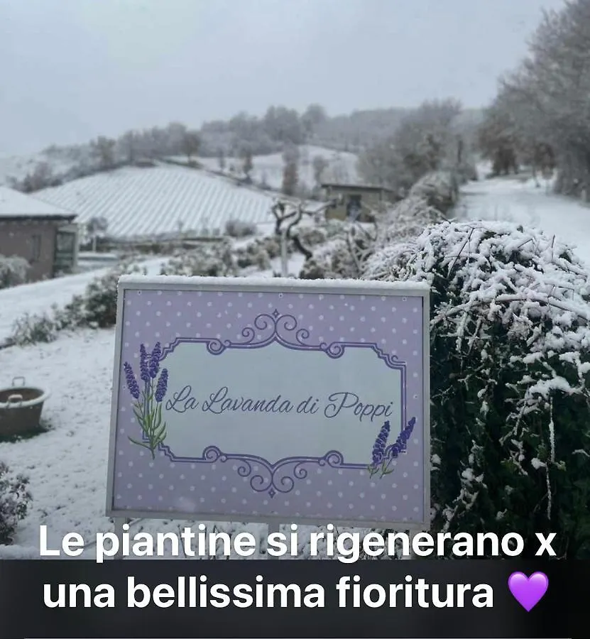 La Lavanda Di Poppi Mini Appartamento “Angustifolia “