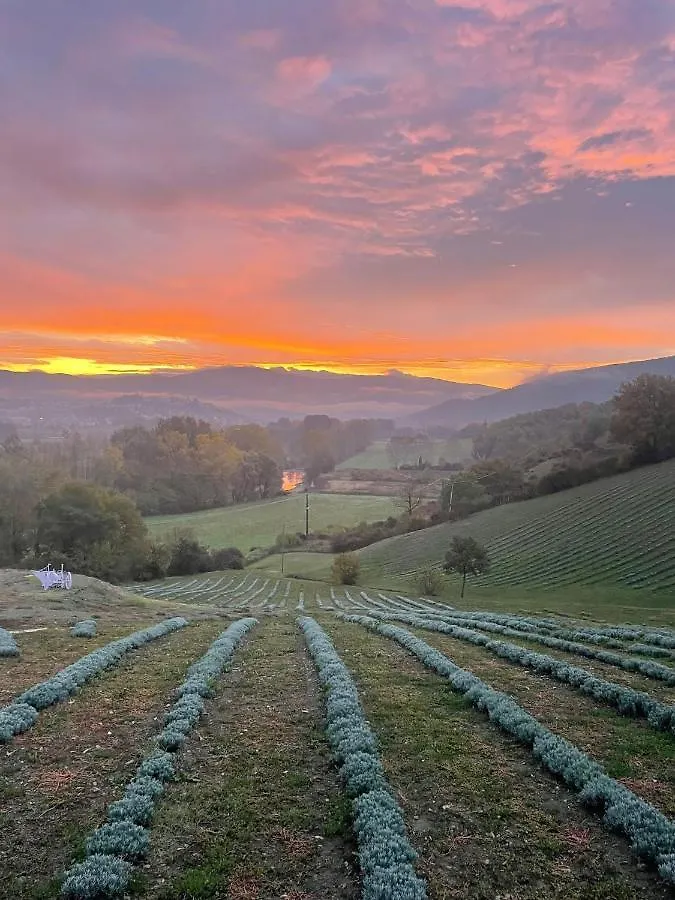 Farm stay La Lavanda Di Poppi Mini Appartamento “Angustifolia “ Italy